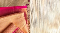 Karnataka to Assam: Top 10 silk-producing states in India in 2024 RTM