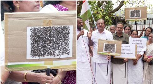 congress protest with flies against waste treatment plant