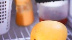 Can mangoes be kept in the fridge ram