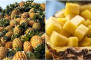 kerala pineapple price in all time record due to heat wave condition