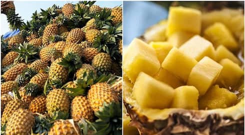 kerala pineapple price in all time record due to heat wave condition