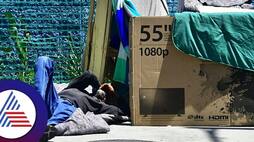 States with highest homeless people in America pav