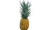 Hydration to Digestion: 6 benefits of Pineapple THIS Summer