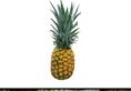 Hydration to Digestion: 6 benefits of Pineapple THIS Summer ATG
