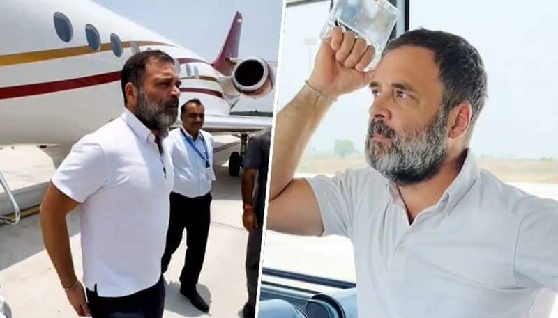 Why does Rahul Gandhi wear white T-shirt always? Congress leader reveals in rapid fire (WATCH)