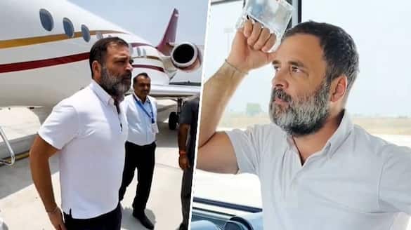 Lok Sabha Elections 2024 Why does Rahul Gandhi wear white T-shirt always? Congress leader reveals in rapid fire (WATCH) gcw