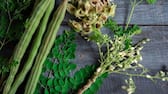 benefits of moringa leaves or drumstick leaves
