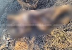 man found burned dead at kuttippuram