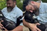 man cuddle baby donkey watch video 