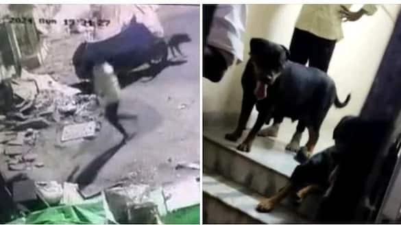 A girl who was badly injured by a dog in Chennai underwent surgery vel