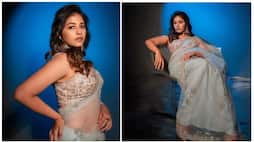Ravishing Actress Anjali Transparent hot saree look mma