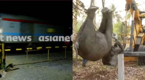 speed limit not followed in two year train kills 3 wild elephants in palakkad Kanjikode