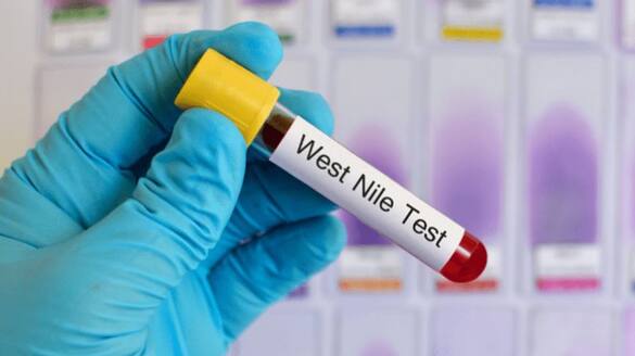 kerala on alert as man dies of west nile fever symptoms treatment Rya
