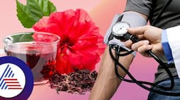 Best 7 herbal tea for hypertension keep you cool healthy and fit pav