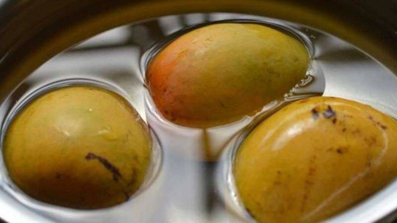 Why soaking mangoes in water is important? Know what experts say RTM