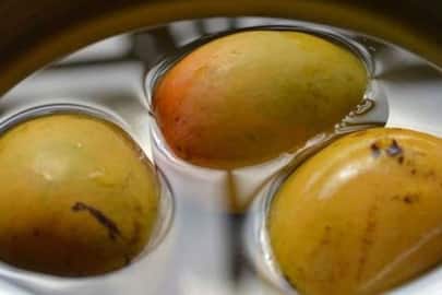 Why soaking mangoes in water is important? Know what experts say RTM