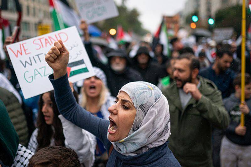 Palestine protests at US universities and the crisis in the US presidential election 