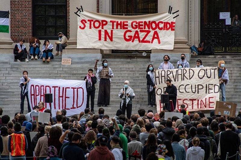 Palestine protests at US universities and the crisis in the US presidential election 