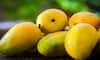Debunking Myths: Can mangoes increase blood sugar and cause weight gain?