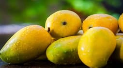 Debunking Myths: Can mangoes increase blood sugar and cause weight gain? NTI