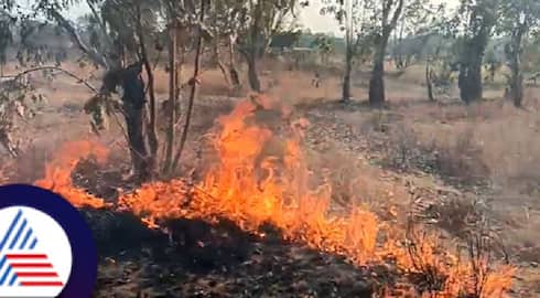 Yadgir news miscreants set fire to kalebelagundi forest area at gurumitkal rav