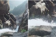 kakkayam eco tourism opens after 100 days now tourists can visit Urakkuzhi Waterfalls