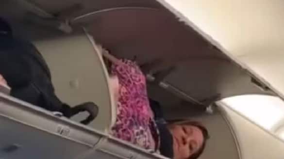 Woman Shocks Passengers After She Was Spotted Sleeping In Planes Luggage Compartment Vin