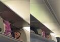 Viral video: American woman climbs into luggage compartment of plane to take a nap NTI
