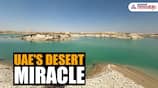 UAE desert miracle: Barren landscapes turn green, wildlife thrives after record-breaking rainfall (WATCH) snt