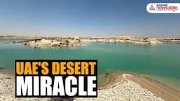 UAE desert miracle: Barren landscapes turn green, wildlife thrives after record-breaking rainfall (WATCH) snt