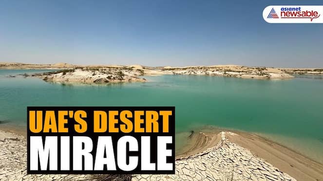 UAE desert miracle: Barren landscapes turn green, wildlife thrives after record-breaking rainfall (WATCH) snt