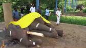 Guruvayur Devaswom elephant Mukundan died