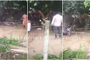 video of an elephant turns violent while festival in temple thrissur