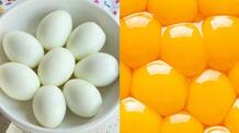 egg white versus egg yolk which one is healthier