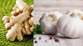 Can mixing ginger and garlic reduce its benefits? 