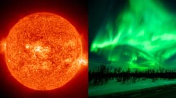 NASA witnesses massive solar explosion while Earth is struck by a solar storm-rag