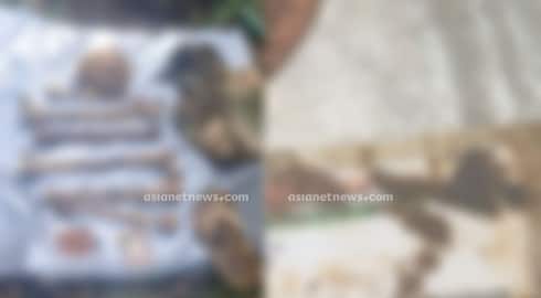 Remains of a human skeleton found while cleaning a well in kasaragod; Aadhaar card ,clothes and shoes found