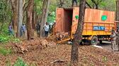 deer released from forest at coimbatore which one maintained by voc park