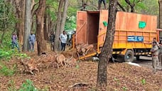 deer released from forest at coimbatore which one maintained by voc park