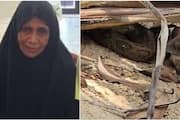 woman died after snake bite at tirur malappuram