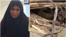 woman died after snake bite at tirur malappuram