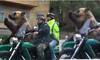 Viral Video: Russian Bear Captivates Internet with Motorcycle Ride [watch]