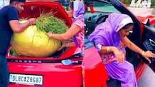 A farmer woman carried grass and fooder in a luxury Porsche car worth 1.5 crores The video gone viral akb