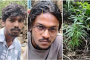 kerala cannabis sale latest news Ganja plants and ganja grown in house plot seized in Idukki