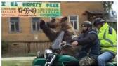 Video of a bear waving to pedestrians on a bike goes viral 