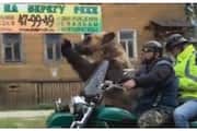 Video of a bear waving to pedestrians on a bike goes viral 