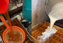 Viral Video: Social media abuzz with hygiene concerns surrounding Kanpur's ice cream factory [WATCH] NTI