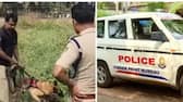 Man under custody for abduction and rape 10 year old in Kasaragod