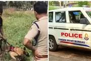 Man under custody for abduction and rape 10 year old in Kasaragod