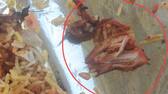 Pune Man Claims he found Chicken in Veg Biryani zomato responds